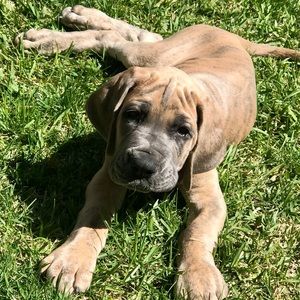 Meet your Posher, Penni